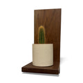 Black Walnut Wood Plant Shelf- Floating Shelf