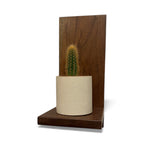 Black Walnut Wood Plant Shelf- Floating Shelf